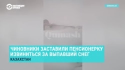 Пенсионерку в Казахстане заставили извиниться за снег