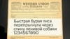 Как Марк Твен и Чехов помогли наладить прямую связь главам СССР и США