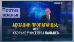 Смотри в оба: считаем на пальцах, сколько раз соврал Киселев