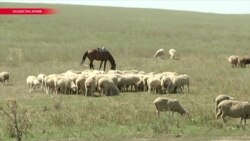 Казахстанский парламент принял в первом чтении поправки к скандальному закону о земле